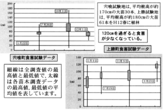 図 3  平成 12 年度  大苗造林試験結果  ・  (平成 13 年度)    枝葉部への食害は半数以上に及んだが，梢端部への食害は 1 割(6 本)に止まり，また，防護資 材の取り付けを工夫する(螺旋状に巻く)ことで皮剥ぎ被害も 4 本だけとなり，枯損は 1 本であっ た。  ・  (平成 14 年度)    2 月末時点の調査において，各樹高タイプ別に梢端部，枝葉部，皮剥のシカ食被害を本数被害 率でまとめた結果が図 5 である。    これによると 80cm の中苗はスギ・ヒノキとも梢端部への被害が