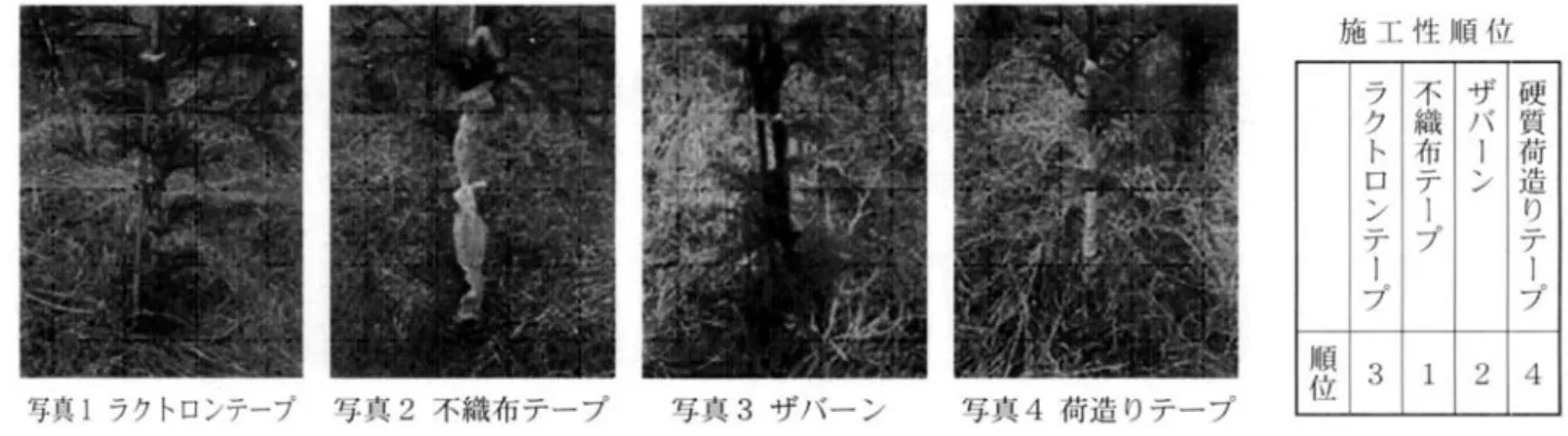 図 13  150cm 大苗で使用した防護資材  4  まとめ    近隣地の忌避剤試験地の通常苗(60cm 程度)については，スギ，ヒノキ共に梢端部の被害率は 100% であり，被害度も殆ど主軸を残す程度の被害を受けている。また，過去 2 年間の試験結果も踏まえて， 大苗植栽は梢端部へのシカ食被害を防ぐ上から有効な方法としていえるのではないかと考える。    そして大苗の高さは，植栽時に 120cm 以上を確保すれば，その後の夏期成長により十分効果を発揮 するものと考える。    また，大苗植栽をするに当