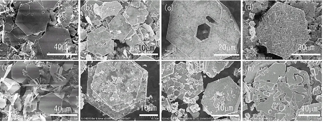 Fig. SEM images of samples prepared in (a) 0.05M ZnCl 2 - HMT mixed aqueous solution  followed by calcination at (b) 300 o C, (c) 600 o C, (d) 1200 o C; and in (e) 0.1M ZnCl 2 - HMT  mixed 50 vol.% EG aqueous solution followed by calcination at (f) 300 o C