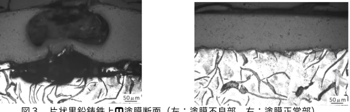 図 3 は片状黒鉛鋳鉄の加工面に発生した塗 膜不良の事例です。この事例の場合でも図 1、 2 と同様に「へこみ」のある部位で塗膜の発 泡が観察されました。また、塗膜不良部直下 には初晶黒鉛と思われる「粗大黒鉛」が存在 する頻度が高く、これらの粗大黒鉛の中には 「欠け」や「脱落」が認められるケースもあ りました。  一方で正常部では「へこみ」などは観察さ れず､平滑な面上に塗膜が施されていました。 塗膜不良の要因  3 つの塗膜不良部の事例ではいずれも塗膜 と鋳鉄界面部に「へこみ」が観察され、塗膜 不良はこの