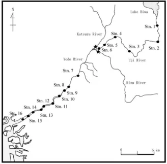 Fig． １ Sampling locations in the Yodo River sys- sys-tem.