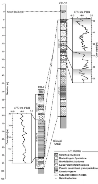 Fig． ２ Lithostratigraphy and depth plots ofδ 13 C values of whole-rock samples of the  carbon-ates within boreholes CR-7 and CR-13 (modified from Sakai, 2003)