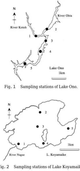 Fig． １ Sampling stations of Lake Ono.
