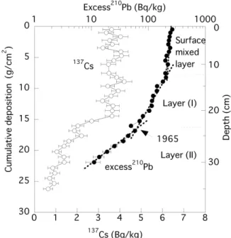 Fig. 6 Profiles of excess 210 Pb and 137 Cs activities at Takonobori.