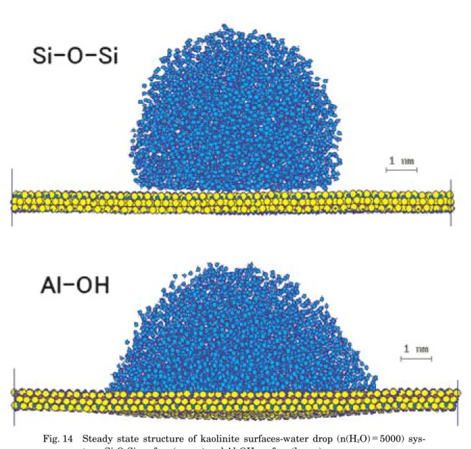 Fig. 14 Steady state structure of kaolinite surfaces-water drop (n(H 2 O)＝5000) sys- sys-tem: Si-O-Si surface (upper) and Al-OH surface (lower).