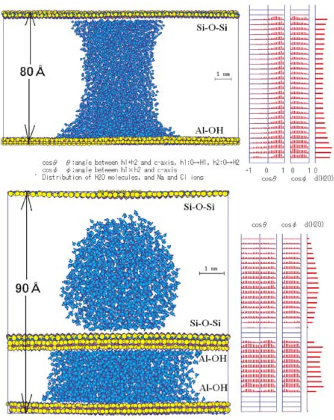 Fig. 15 Structural snap shots of water drop (n(H 2 O)＝5000) sandwiched by kaolinite surfaces and orientational statistics of water molecules: between Si-O-Si and Al-OH surfaces (upper) and between two Si-O-Si surfaces and two Al-OH  sur-faces