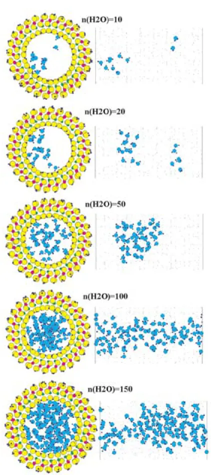 Fig. 17 Structural snap shot of water molecules in imogolite tube. The number of H 2 O molecules in tube are 10, 20, 50, 100, and 150