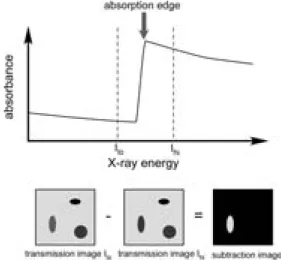 Fig. 2 Subtraction imaging of Ru (a) and iridosmine (b) grains in test samples. Each subtraction image was made by  sub-tracting the absorption image at high energy (I hi ) from that at low energy (I lo )