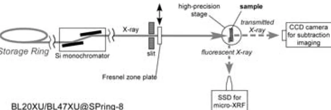 Fig. 4 Schematic illustration of the configuration of subtraction imaging and micro- micro-XRF analysis at beamlines BL 20 XU and BU 47 XU, SPring-8.