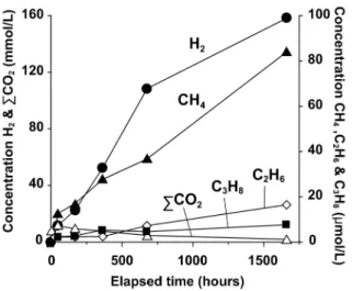 Fig. 3 Concentrations of dissolved H 2 , CO 2 , and light hydrocarbons during serpentinization of olivine in the experimental study of Berndt et al