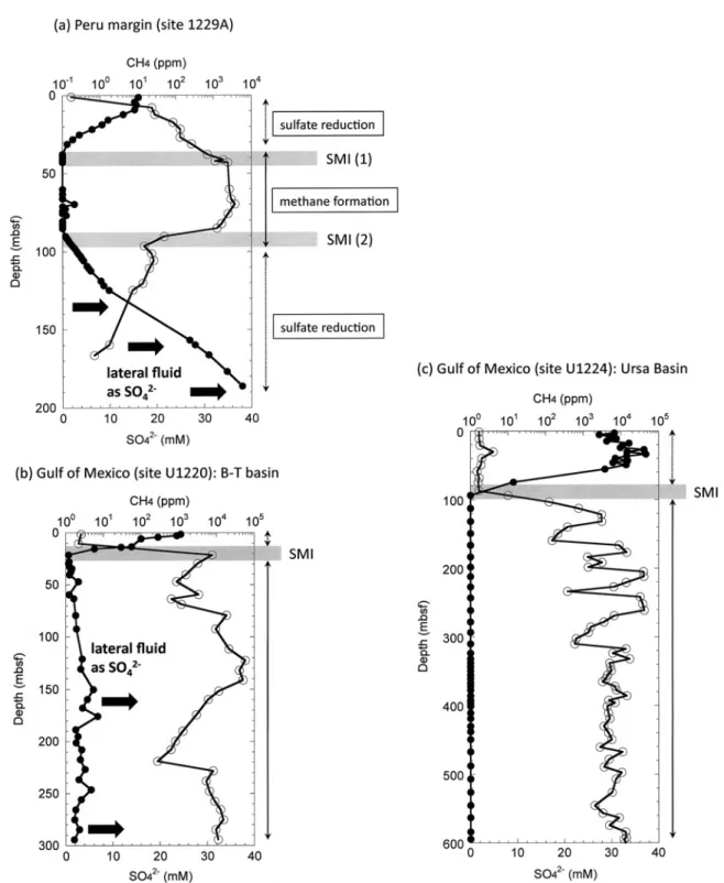 Fig. 10 Sulfate and methane interface (SMI) in (a) Peru margin at site 1229A (D’Hondt et al., 2004), (b) Gulf of Mexico at Brazos-Trinity basin (Shipboard Scientific Party of Exp 308, 2006;