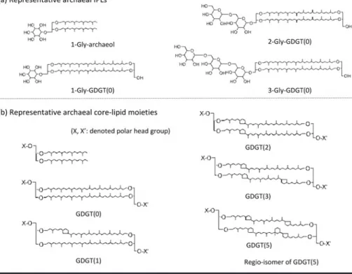 Fig. 6 (a) Representative archaeal IPLs and (b) its core-lipid moieties are shown with its core-lipid moieties of di-ether and GDGT (glycerol dialkyl glycerol tetraethers), for example, 1-Gly-archaeol, 1-Gly-GDGT (0), 2-Gly-GDGT (0), 3-Gly-GDGT (0)