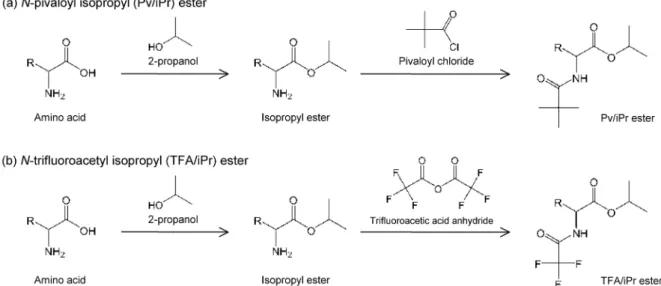 Fig. 5 Derivatizations employed for nitrogen isotope analysis of amino acids.