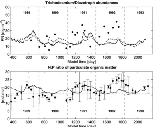 Fig. 8 Simulated and observed diazotroph abundances (upper panel). Measure- Measure-ments (filled dots) are integrated over the upper 45 m of the water-column while model concentrations represent the mean value over the upper 100 m integrated over 45 m
