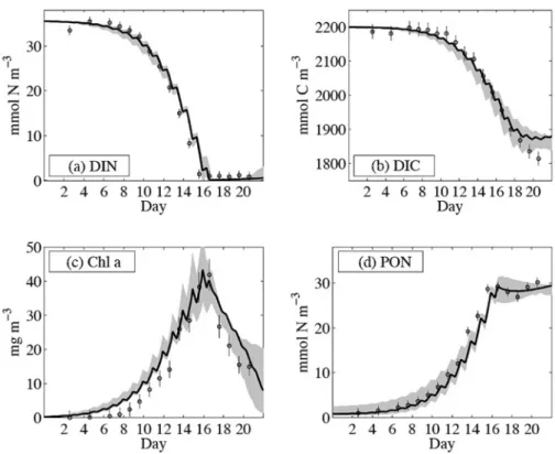 Fig. 10 Optimised model results for DIN, DIC, Chla and PON. All solid black lines indicate the best solution obtained from optimization with the original data set