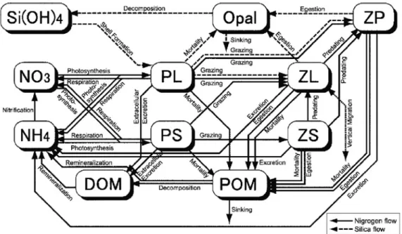 Fig. 13 Schematic view of the ecosystem model showing the eleven compartments and in- in-teractions among them.