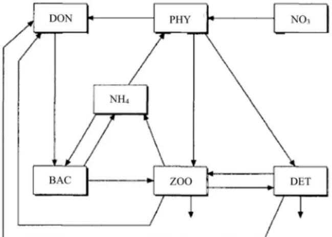 Fig. 1 Schematic diagram of a nitrogen-based model of plankton and nitrogen cycling showing the compartments and the modeled nitrogen flows (adapted from Fasham et al., 1990).