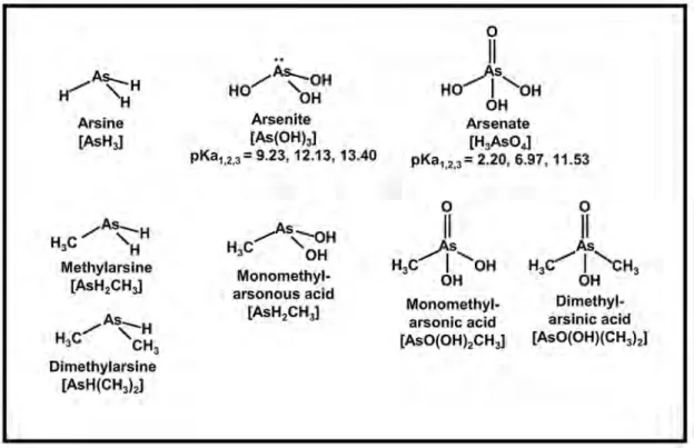 Fig. 4 Summary of important inorganic, and organic arsenic in the environment. For inorganic aqueous species, stepwise acid dissociation constants are given.