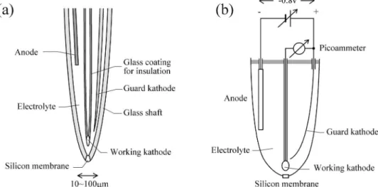 Fig. 3 (a) Schematic drawing and (b) diagram of oxygen microelectrode.