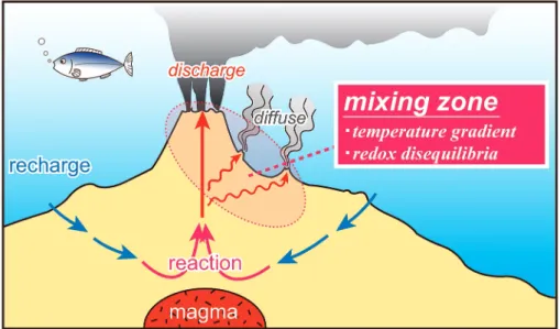 Fig. 1 Schematic illustration of hydrothermal circulation at a seafloor hydro- hydro-thermal system