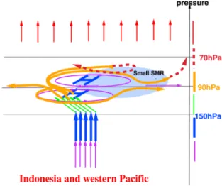 図 3    TTL （この図において 150 hPa から 70 hPa の間の領域）を介した対流圏から成層圏への鉛直 輸送と TTL 内における水平移流に伴う脱水の模 式図[Hatsushika and Yamazaki, 2003]。矢印は空 気の流れを表している（色は気圧軸の色に合わせ て描かれている）。対流活動域（インドネシア - 西部 太平洋）上空の TTL 内に赤道対称の高気圧性水 平循環場と低温域（青影部）が形成されており，低 温域を水平的に通過しながら大気は脱水される。 ルを用いて示した。