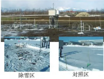 Fig. 4 多試験区 · 大規模な観測体系のデータ管理と高度な