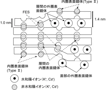 Fig. 2 2 : 1 粘土鉱物端面近傍の吸着サイトの