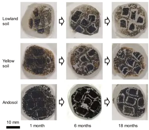 Fig. 4 Micromorphology of whole core samples.
