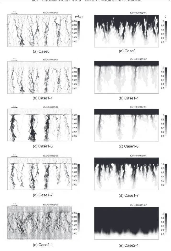 Fig. 4 ダルシー流速ベクトル分布の計算結果の一例 ;