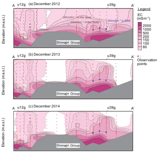 Fig. 7 ిؾ఻ಋ౓Ԗ௚෼෍ଌఆʹΑΔࢭਫนԊ͍ʢ Fig. 1 ͷ A–A ʟஅ໘ʣͷిؾ఻ಋ౓