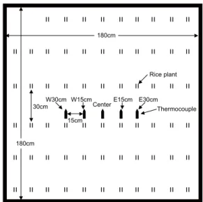 Fig. 2 モデル水田における対流測定の概要図．