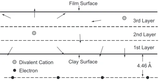 Fig. 10 粘土表面吸着水中における乱雑な電場の向き . （ Iwata 1995b ， Figure 2.40 ） Disordered direction of electric intensity in water adsorbed on a clay surface.