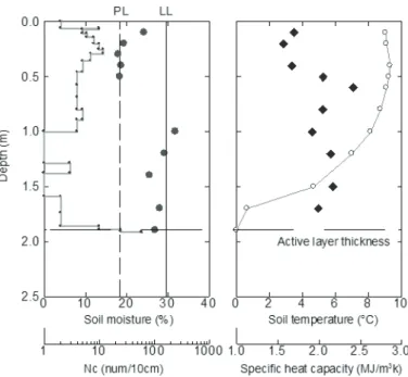 Fig. 5 東シベリア · チュラプチャの草原における活動層土壌断面調査結果