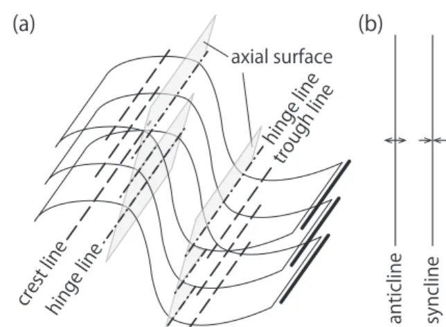 Fig.  1.  (a)  Terminology  of  folds.  Thick  lines  indicate  the  orientation of fold axis in the definition A
