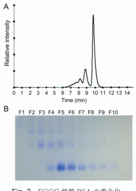 Fig. 1　BSA の化学修飾と mAb SBM の親和性解析．