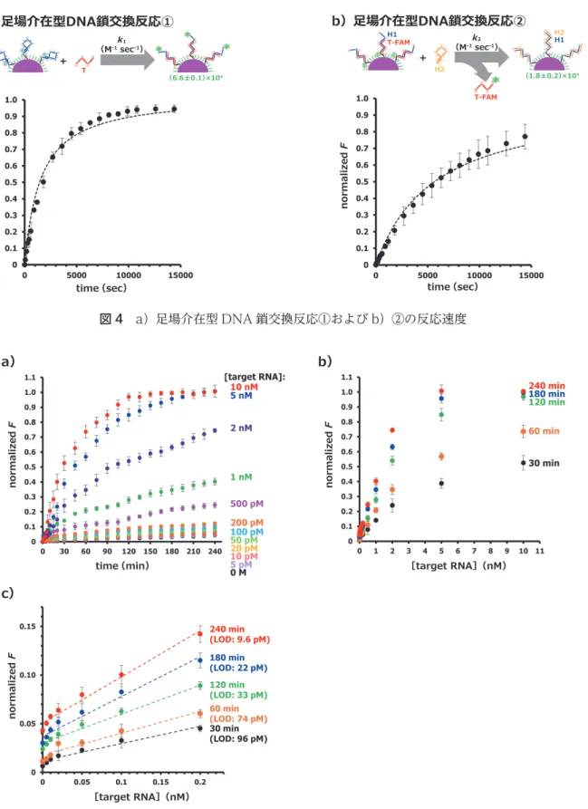 図 5　a）様々な標的 RNA 濃度における H1-DNA/PEG 化金ナノ粒子および H2 を用いた DNA サーキットの時間に対 する蛍光強度（normalized  F ）の変化．b）様々な標的 RNA 濃度における各検出時間と蛍光強度（normalized  F ） の関係．c）b）の低濃度領域の拡大．WLPHقPLQكDك EكFك نWDUJHW51$هقQ0كنWDUJHW51$هقQ0ك