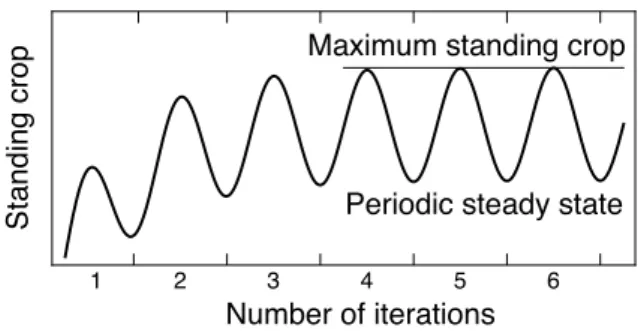 Fig. 3. Schematic diagram of the maximum standing crop calculation. 