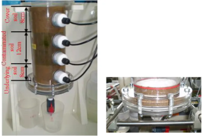 Fig. 3  Columns of the laboratory migration experiments. 