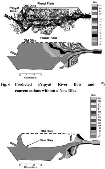 Fig. 5  Measured  90 Sr concentrations in the Pripyat River  Floodplain across Chernobyl Nuclear Plant 