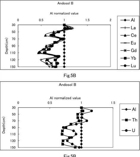Fig. 5 The variations of Al-normalized values for each element with depth in Andosol. 5A: A site, 5B: B site