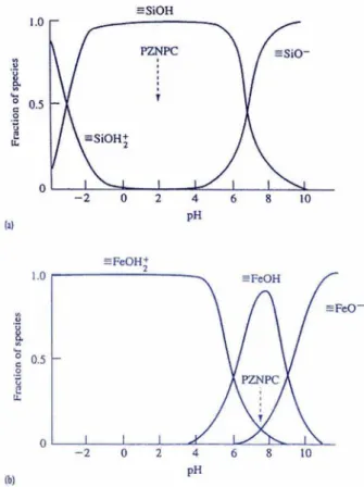 Fig. 7 Schematic distribution of charged surface species  (denoted by the triple dashes) on clay minerals (a) and  ferrihydrite (b) as a function of pH, showing for both  the predominance of positive, neutral, and negatively  charged surface species with i