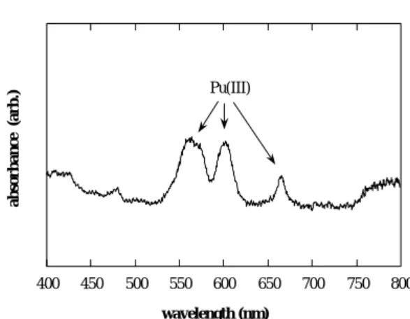 Fig. 1. Typical absorption spectrum of Pu solution species  at pH 4.04. 