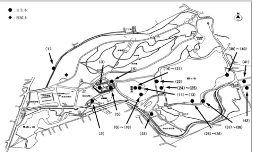 図 2 ．小幡緑地のマメナシの分布 図 5 ．緑ヶ池の西池畔・南池畔・南園路脇 図 6 ．東池畔・駐車場東樹林・水生園 図 4 ． 竜巻池の南池畔・東池畔・東池畔湿地・東園路脇・せせらぎトンボ池図 3 ． スポーツセンター東園路脇・親水広場北護岸・ゲートボール場周辺