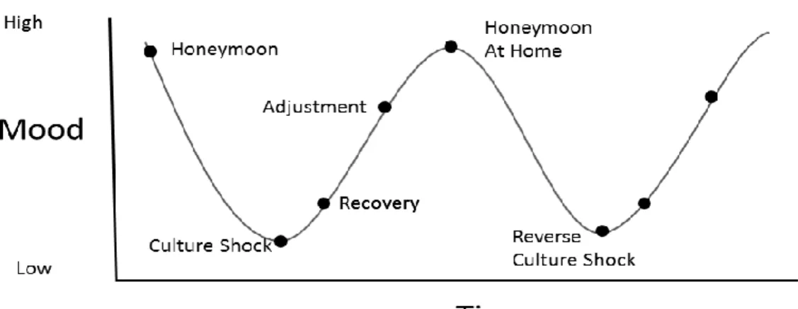 Figure 1. W-Curve Adaptation Model 
