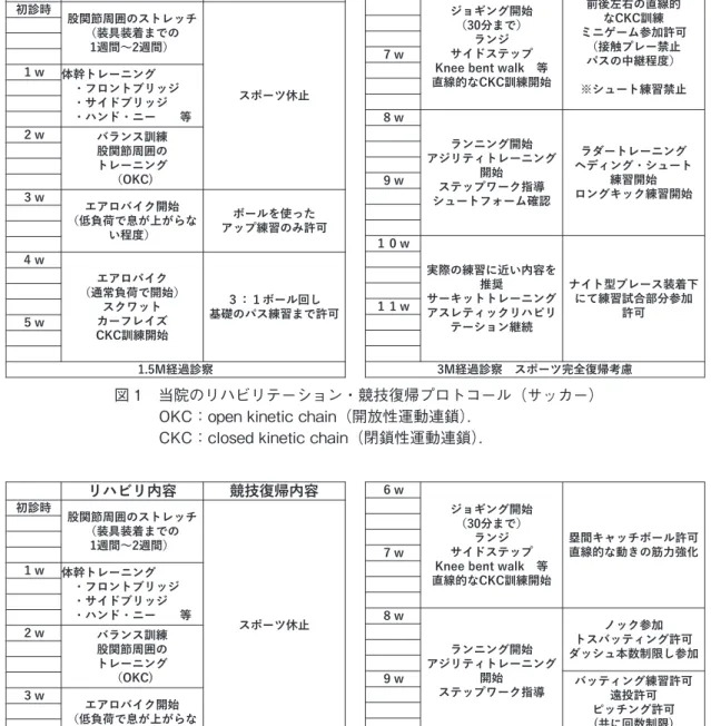 図 2　当院のリハビリテーション・競技復帰プロトコール（野球）