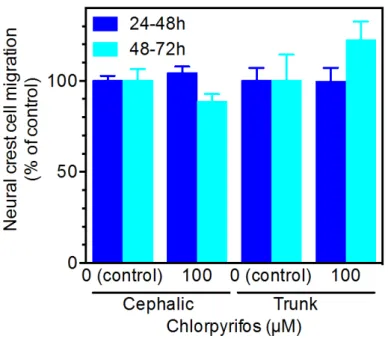 図 4.  ラット頭部   (cephalic)  および腹部   (trunk)  神経堤細胞の遊走に及ぼすクロルピリホス (chlorpyrifos)  の影響