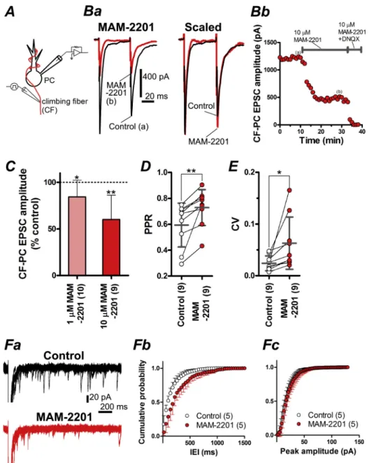 Fig. 6. MAM-2201-mediated presynaptic inhibition at climbing ﬁber (CF)-PC synapses. A, Experimental conﬁguration for Fig