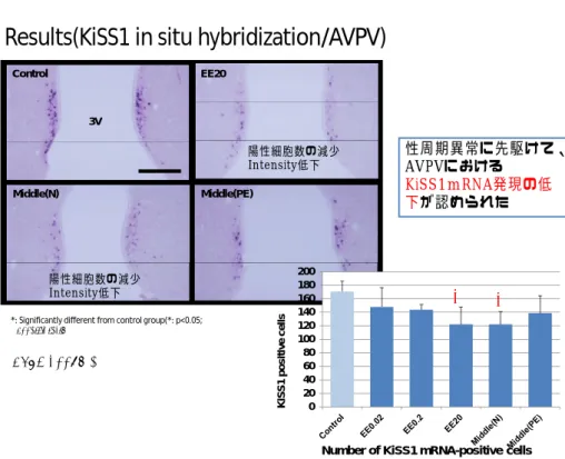 Figure  5  視床下部AVPVにおけるKiss1陽性細胞数の変化 