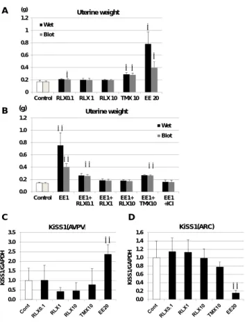 Figure  11  成熟ラットの子宮に対するTMXとRLXのエストロゲン/抗エストゲン作用  および視床下部に対するエストロゲン作用                                        Figure  12  新生児期エストロゲン曝露による遅発影響の感受期の検索における性周期観察 0.00.51.01.52.02.53.03.5KiSS1/GAPDHKiSS1(AVPV）**0.00.20.40.60.81.01.21.41.6KiSS1/GAPDHKiSS1(ARC)**CD