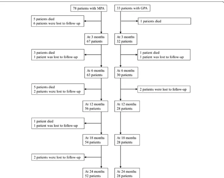 Fig . 1   Flow chart of the enrolled patients. G PA   granulomatosis with polyangiitis, M PA   microscopic polyangiitis 